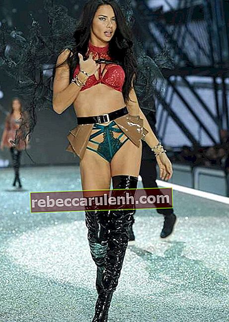 Adriana Lima auf der Victoria's Secret Fashion Show 2016
