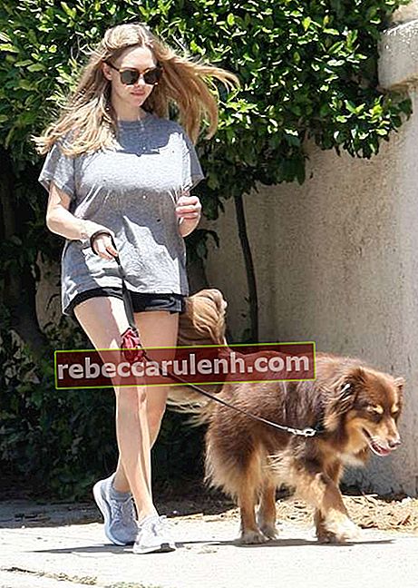 Аманда Сейфрид в шортах гуляет со своей собакой в ​​мае 2017 года.
