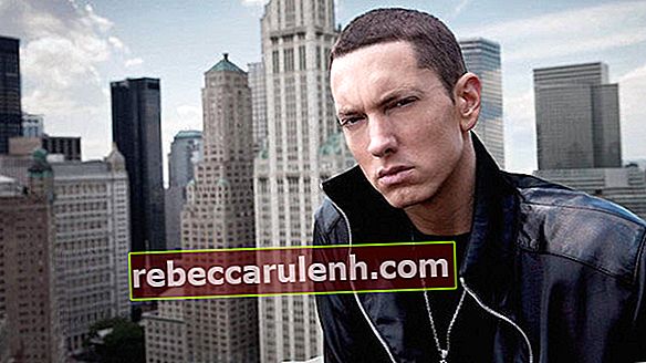 Eminem 2014