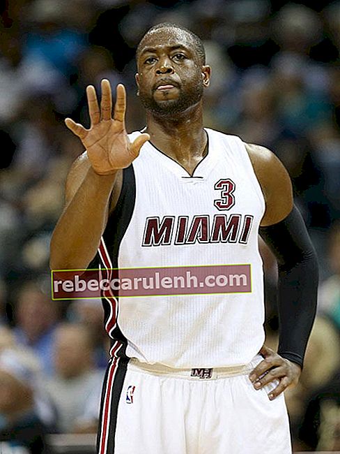 Dwyane Wade während eines Spiels des Viertelfinals der NBA Playoff Eastern Conference 2016 zwischen Miami Heat und Charlotte Hornets