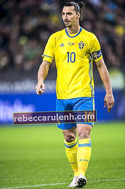 Златан Ибрагимович во время товарищеского матча между Швецией и Чехией 29 марта 2016 года в Сольне, Швеция.