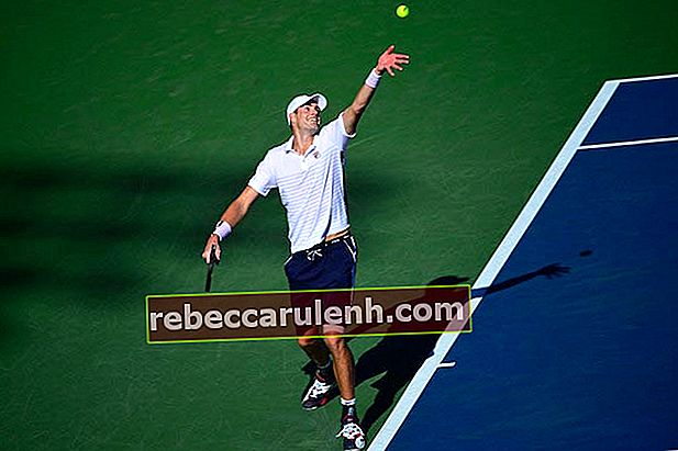 Джон Иснер выступает против Фрэнсис Тиафо во время Открытого чемпионата США по теннису, 29 августа 2016 г.