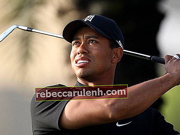 Tiger Woods als Golfer