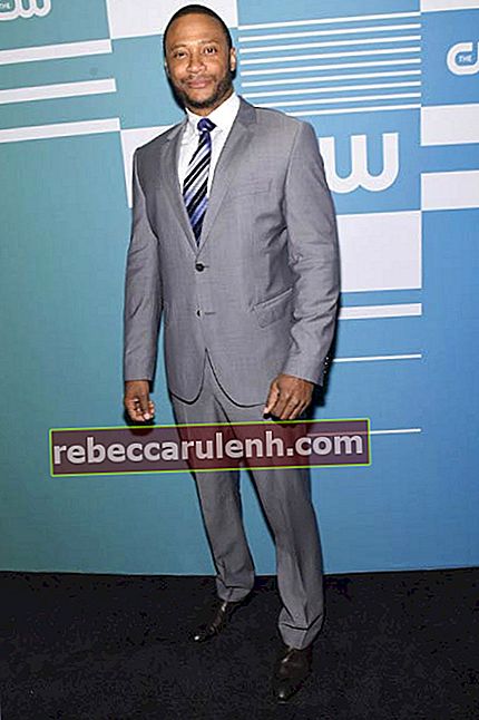 Дэвид Рэмси на авансе The CW Network в 2015 году