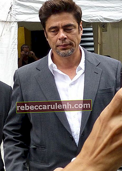 Benicio del Toro beim Toronto Film Festival 2014