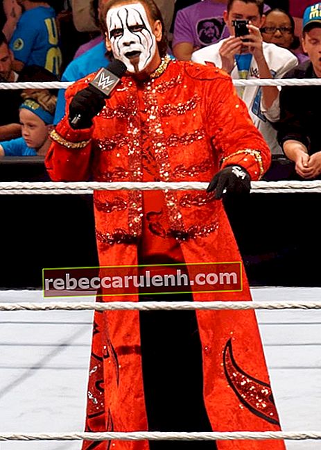 Стинг на фотографии, сделанной во время выступления на мероприятии WWE Raw 30 марта 2015 года.