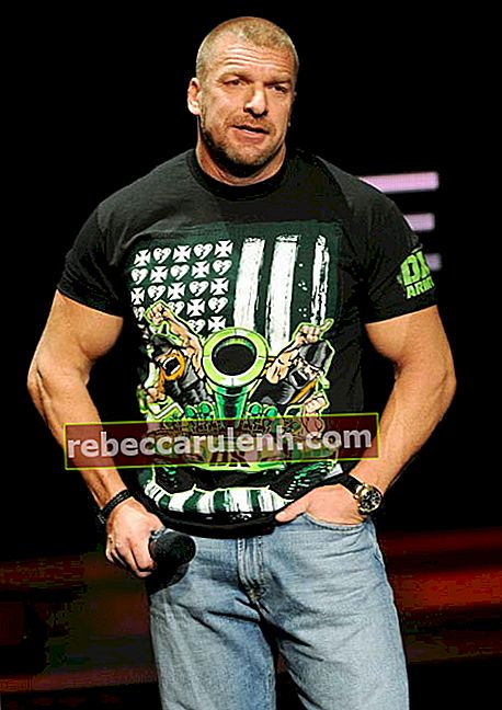 Triple H на сетевой конференции WWE на международном мероприятии CES в январе 2014 г.