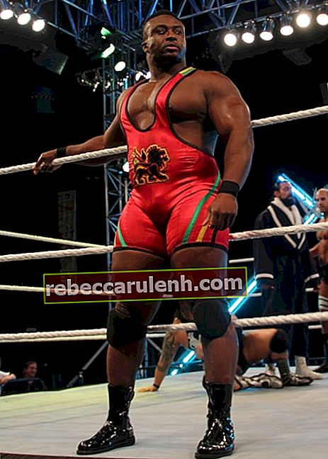 Большой Э. Лэнгстон на снимке, сделанном перед матчем на Wrestlemania Axxess 2 апреля 2012 г.