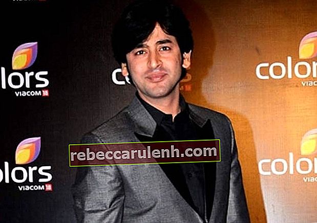Shashank Vyas during Colors TV Party in 2015