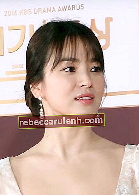 Song Hye-kyo на 2016 KBS Drama Award