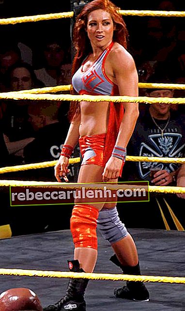 Becky Lynch lors d'un événement NXT à San Jose, Californie en mars 2015
