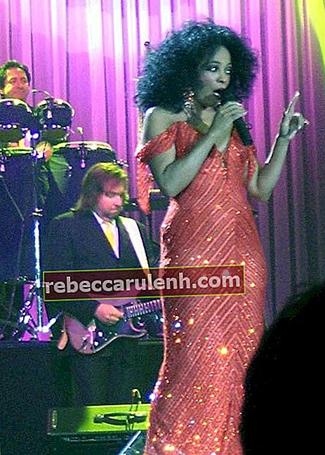 Diana Ross se produisant à Rotterdam en 2007