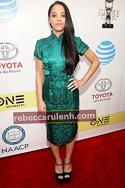 Bianca Lawson aux NAACP Image Awards 2017
