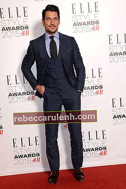 David Gandy aux Elle Style Awards le 24 février 2015