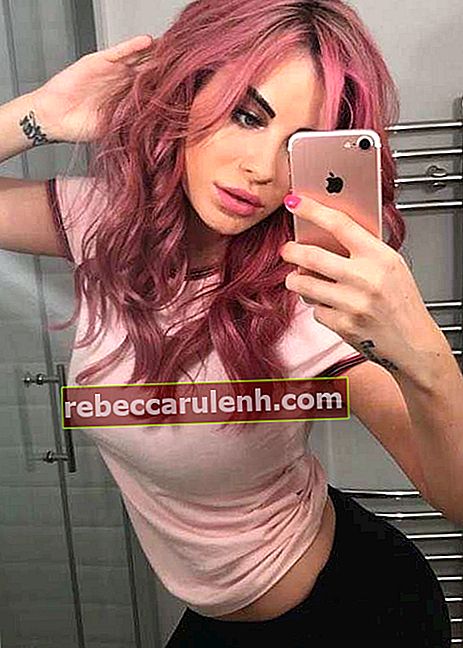 Carla Howe aux cheveux roses dans un selfie Instagram en juillet 2017