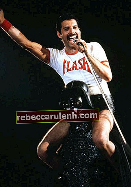 Freddie Mercury effectuant au concert de musique en 1980