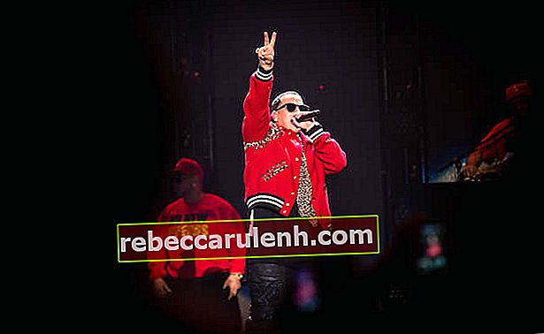 Daddy Yankee se produisant au festival iHeartRadio Fiesta Latina le 22 novembre 2014 à Inglewood, Californie