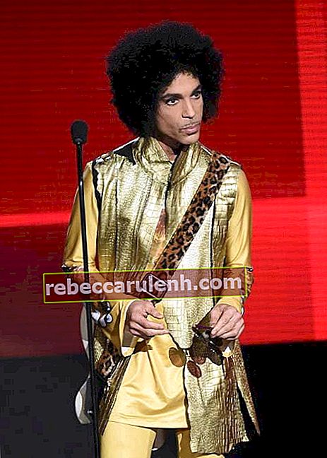 Prince aux American Music Awards en novembre 2015