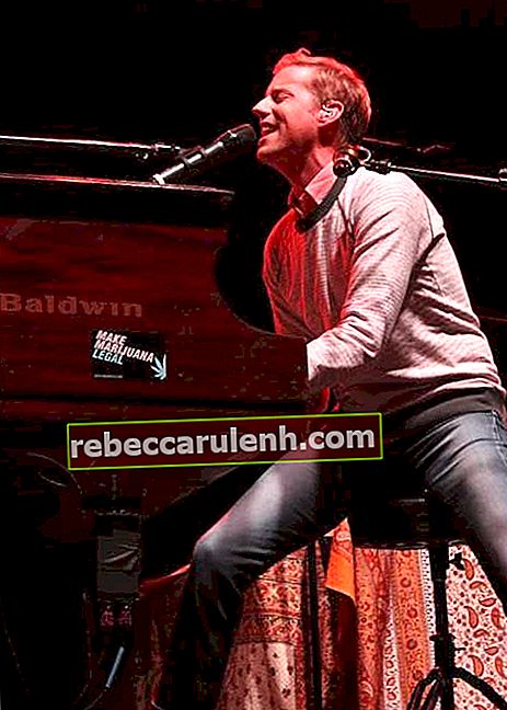 Андрю Макмеън свири в Уисконсин Делс през юли 2014 г.