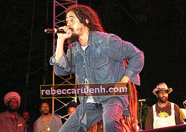 Damian Marley chantant au concert Smile Jamaica 2008