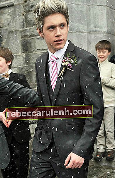Niall Horan hauteur