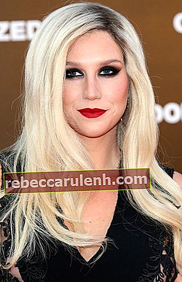 Kesha 2013 niedlichen roten Lippenstift