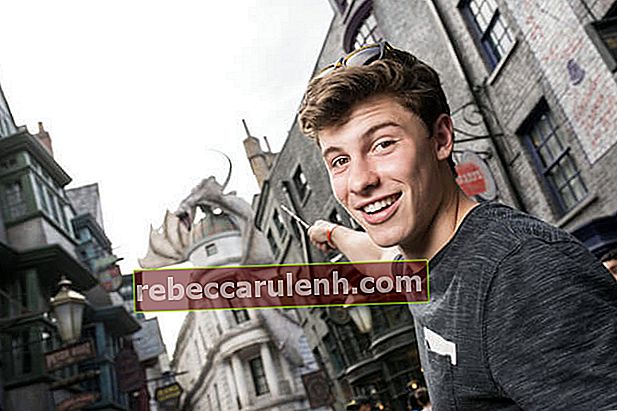 Sur cette photo fournie par Universal Orlando Resort, le chanteur Shawn Mendes visite le monde magique de Harry Potter Diagon Alley à Universal Orlando le 24 mai 2015 à Orlando, en Floride.  Il a exploré le Chemin de Traverse et a même essayé de lancer un sort ou deux
