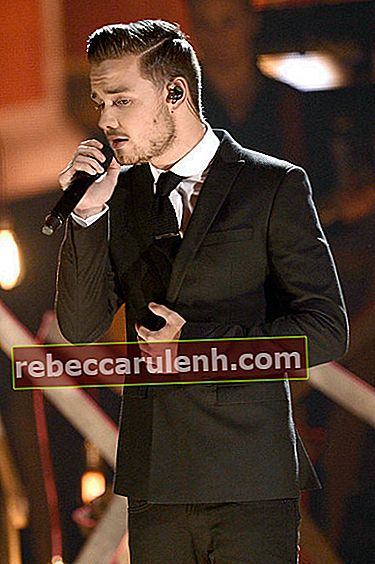 Лиам Пейн во время шоу American Music Awards 2013