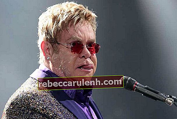 Elton John lors d'un concert lors de sa tournée All the Hits 2015