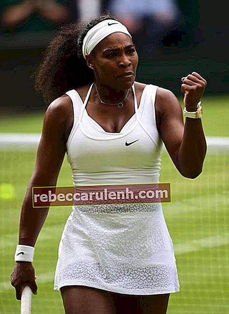 Serena Williams beim Viertelfinale des Wimbledon-Turniers 2015