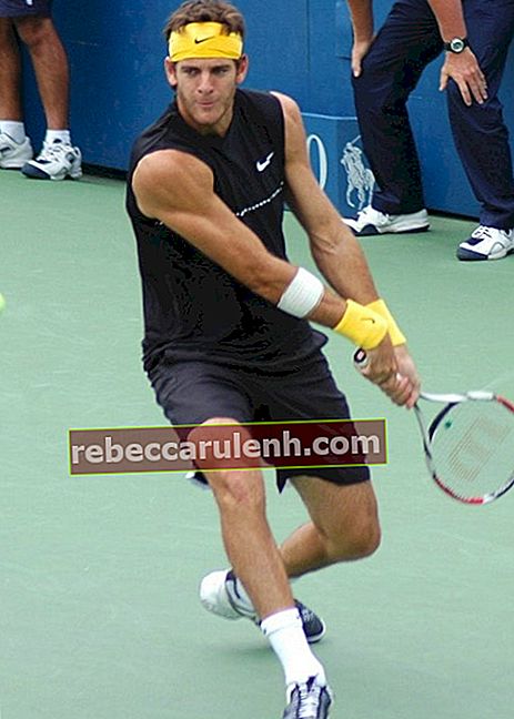 Хуан Мартин дел Потро по време на US Open през 2009 г.