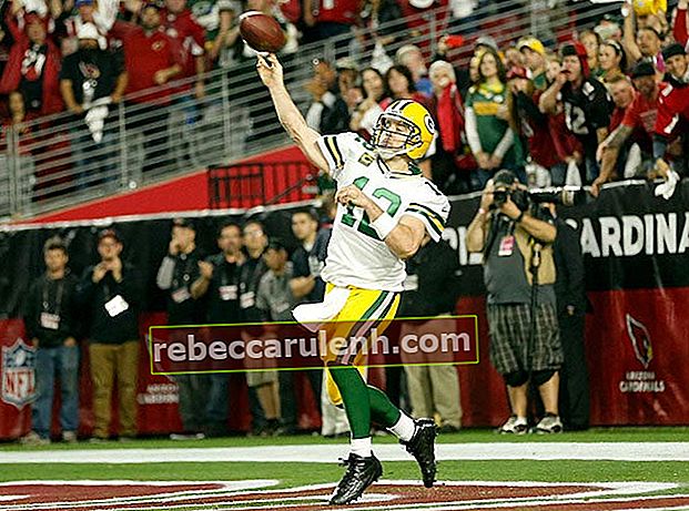 Аарон Роджерс проходит мимо The Arizona Cardinals и Green Bay Packers 16 января 2016 г.
