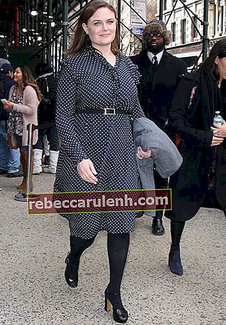 Emily Deschanel à New York en janvier 2017