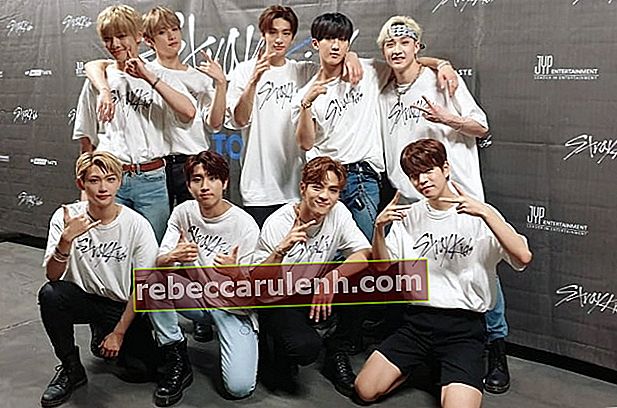 Les membres de `` Stray Kids '' vus en posant pour une photo de groupe en août 2019