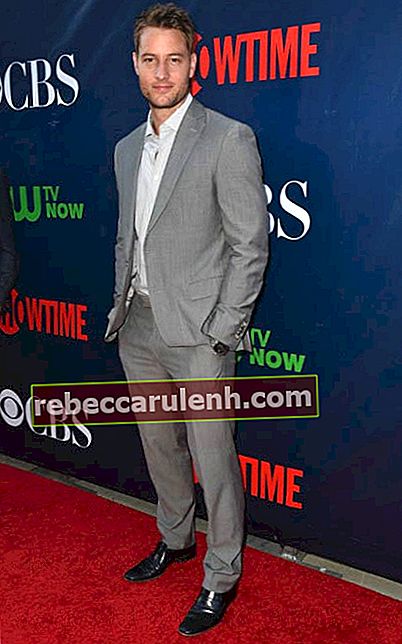Джъстин Хартли на лятното TCA парти на CBS през август 2015 г.