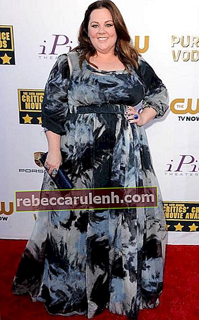 Melissa McCarthy nimmt an den Critics 'Choice Movie Awards 2014 im Barker Hangar in Santa Monica, Kalifornien, teil.