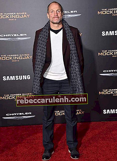 Woody Harrelson alla premiere di The Hunger Games Mockingjay - Parte 2 di Lionsgate il 16 novembre 2015