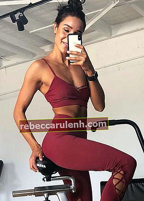 Kayla Itsines dans un selfie Instagram en décembre 2017