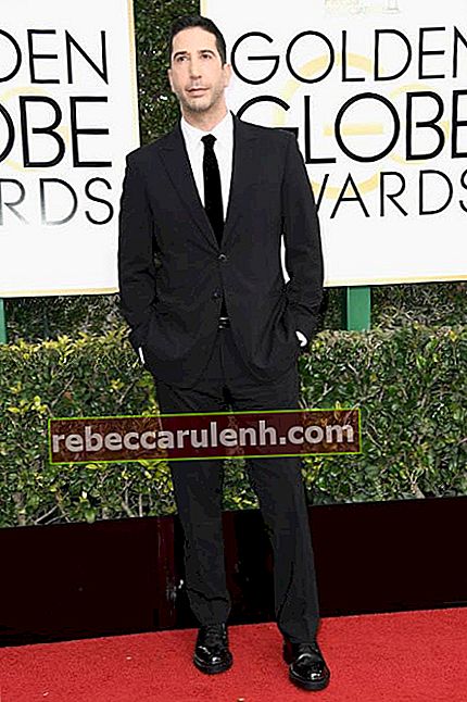 David Schwimmer ai Golden Globe Awards 2017