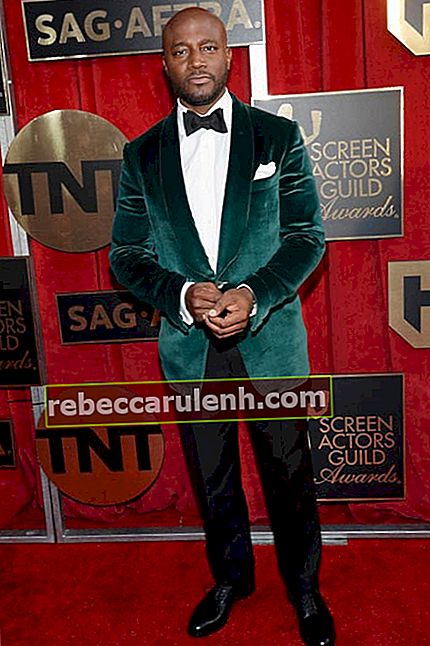 Тайе Диггс на церемонии вручения премии Гильдии киноактеров 2016 года