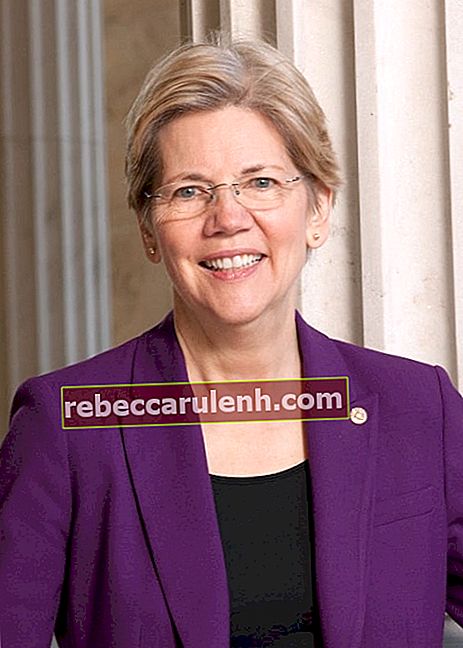 Portrait officiel du 113e Congrès du sénateur démocrate Elizabeth Warren du Massachusetts