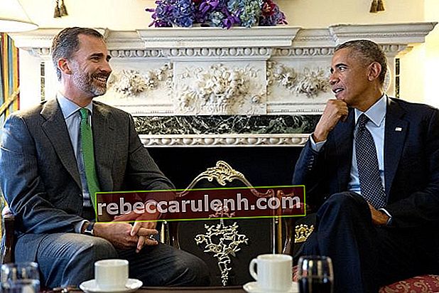 Встреча испанского президента Фелипе VI с президентом Бараком Обамой в отеле Waldorf Astoria в Нью-Йорке в сентябре 2014 г.