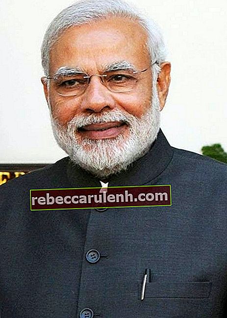 Narendra Modi während des Staatsbesuchs des Präsidenten der Republik Singapur in Indien im Jahr 2015