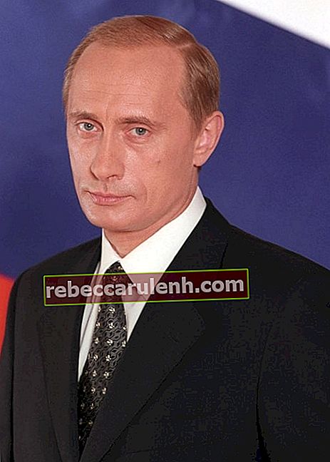 Le président Vladimir Poutine comme on le voit dans son portrait officiel
