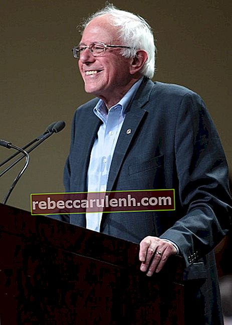 Бърни Сандърс, изказващ се на градска среща в конгресния център на Финикс във Финикс, Аризона през юли 2015 г.