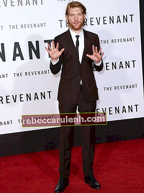 Domhnall Gleeson lors de la première de «The Revenant» le 16 décembre 2015 à Hollywood