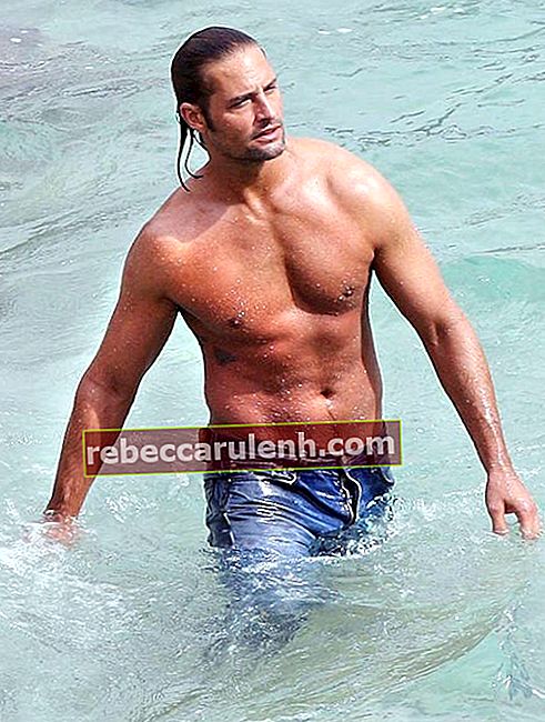 Josh Holloway a torso nudo