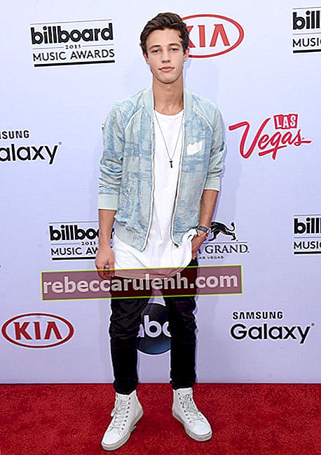 Cameron Dallas durante i Billboard Music Awards 2015