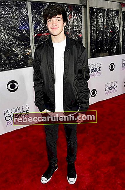 Aaron Carpenter ai People's Choice Awards nel gennaio 2016