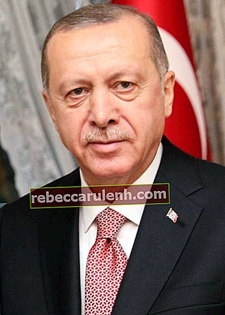 Recep Tayyip Erdoğan visto nel novembre 2018